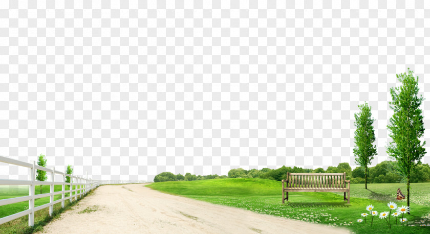 Flowers And Grass Path To Pull Material Free Computer File PNG