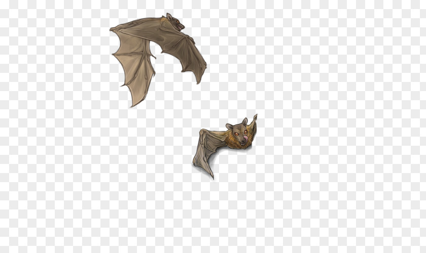 Peters's Epauletted Fruit Bat BAT-M Wildlife PNG