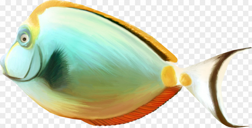 Sluggish Fish Clip Art PNG