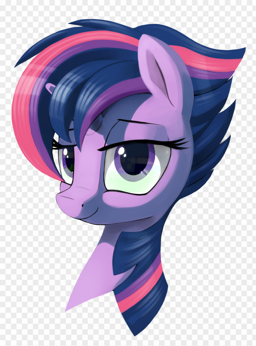 Twilight Pony Applejack Sparkle Rainbow Dash Pinkie Pie PNG