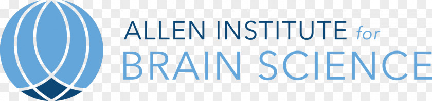 Brain Allen Institute For Science BRAIN Initiative Atlas PNG