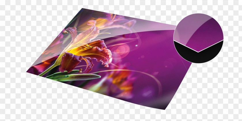 Crystal Photographic Paper Fujifilm Photography Color PNG