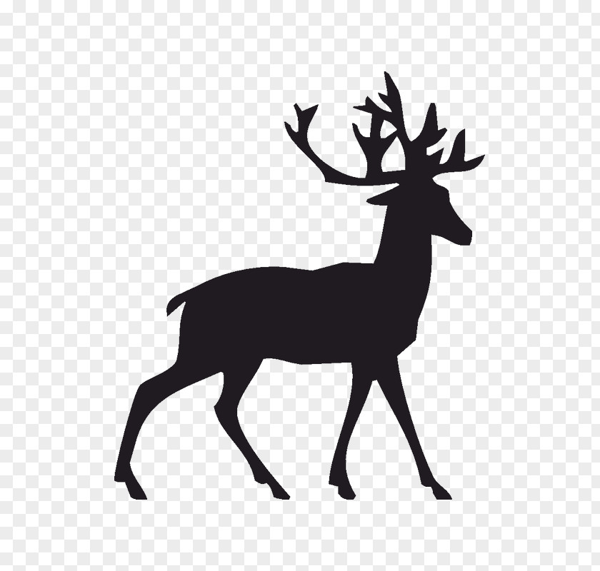 Deer Reindeer Clip Art Rudolph White-tailed PNG