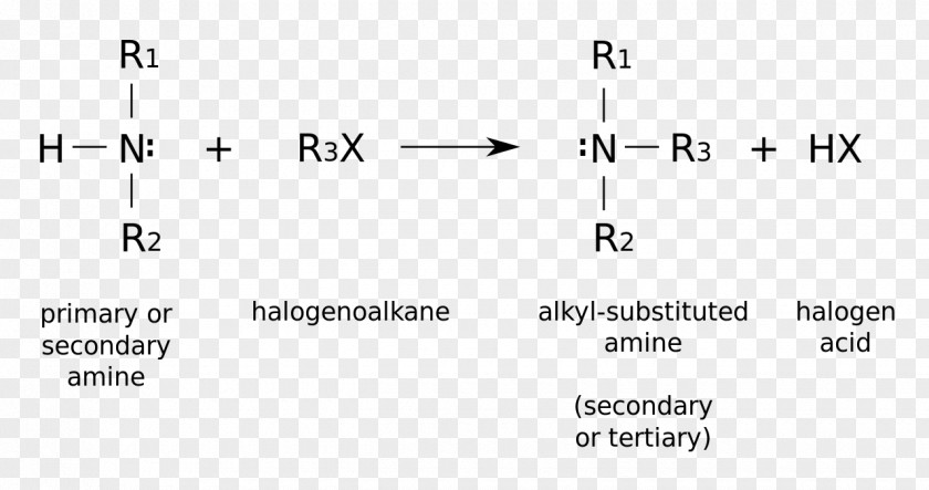 Plus Size Alkylation N-Butylamine Organic Chemistry Functional Group PNG