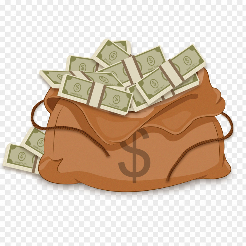 Purse Money Bag Icon PNG