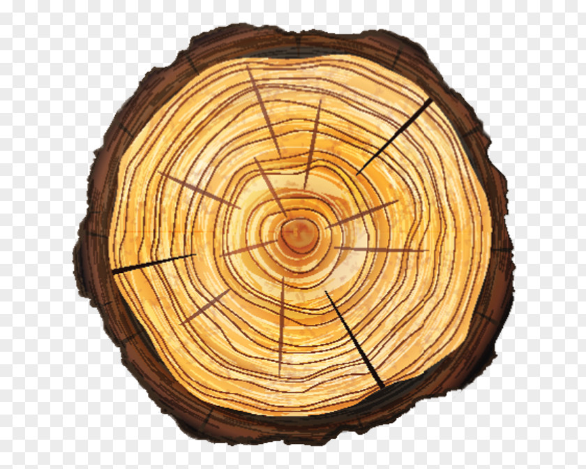 Tree Root Removal Trunk Stump Cross Section Vector Graphics PNG