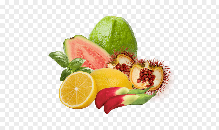 Biotin Illustration Natural Foods Orgenetics, Inc. Vitamin Kiwifruit PNG