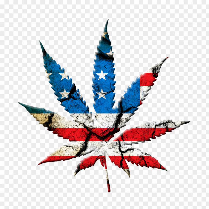 Cannabis United States Medical Legality Of Legalization PNG