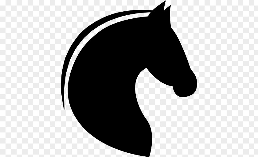 Horse Colt Pony Clip Art PNG