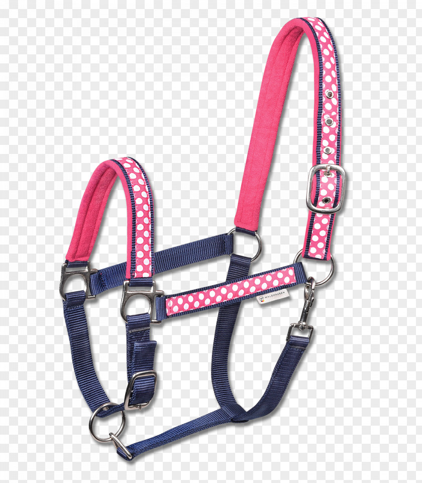 Horse Halter Panic Snap Equestrian Pony PNG