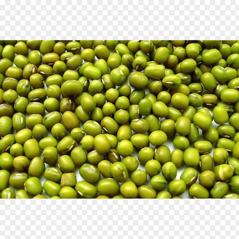 Pea Dal Mung Bean Legume Black Gram PNG