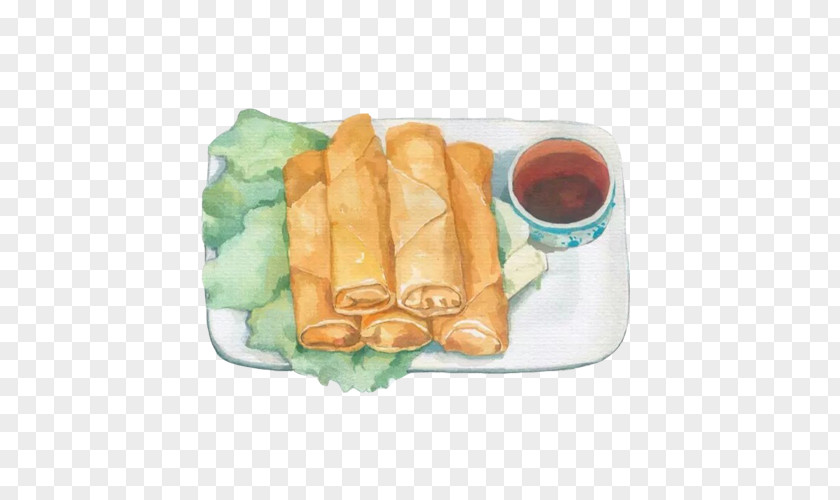 Spring Rolls, Hand Painting Material Picture Roll Breakfast Food PNG