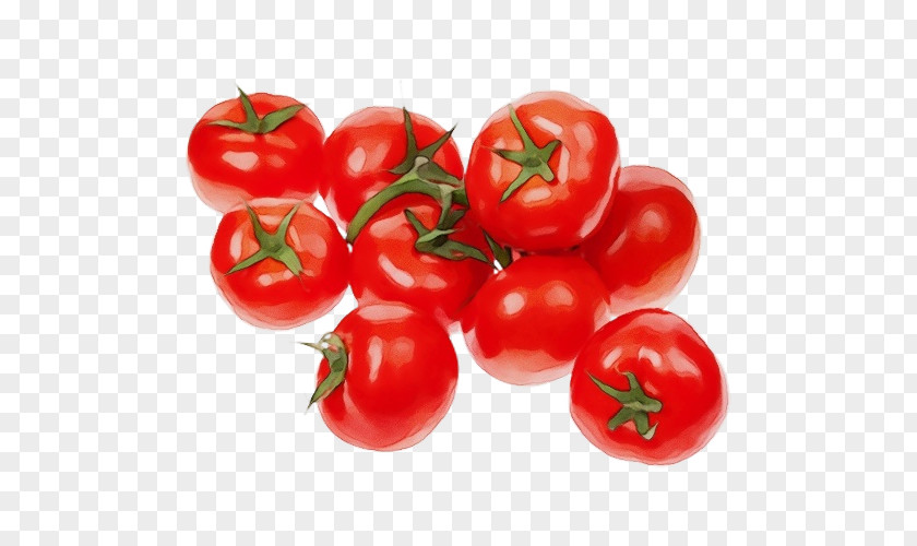 Tomato PNG