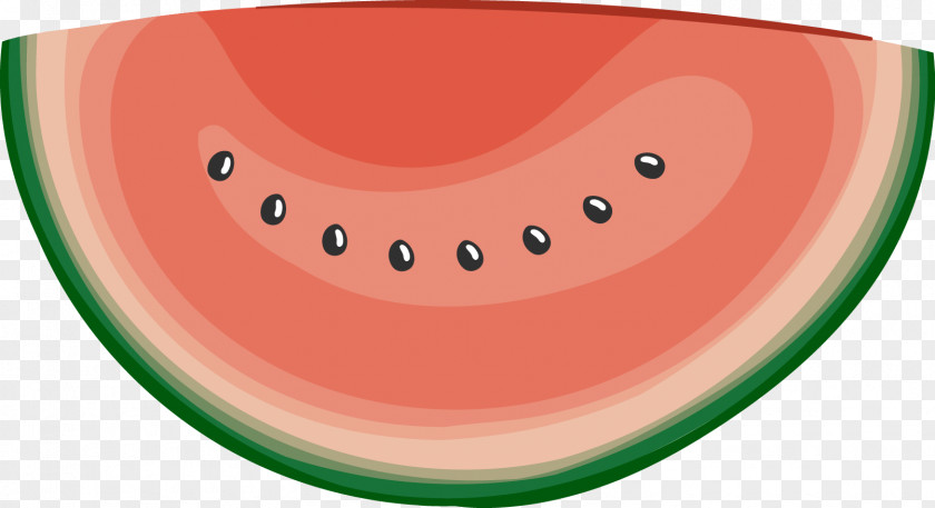 Vector Painted Watermelon Angle PNG