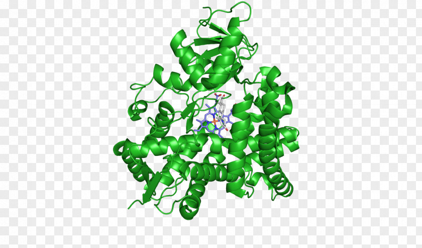 Aromatase Inhibitor Estrogen Androgen Excess Syndrome PNG