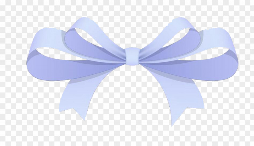 Beautiful Bow Ribbon Shoelace Knot Gift Shoelaces PNG
