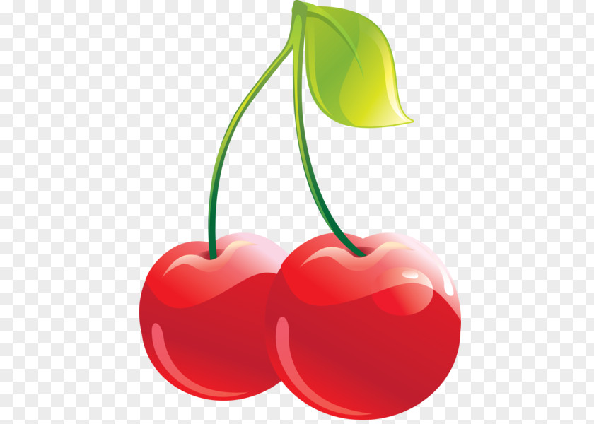 Cherry Cordial Fruit Clip Art PNG