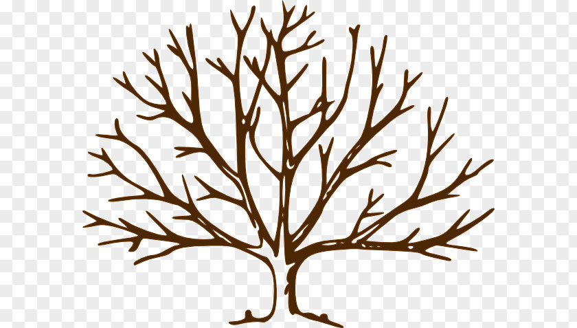 Dead Tree Clipart Free Content Clip Art PNG