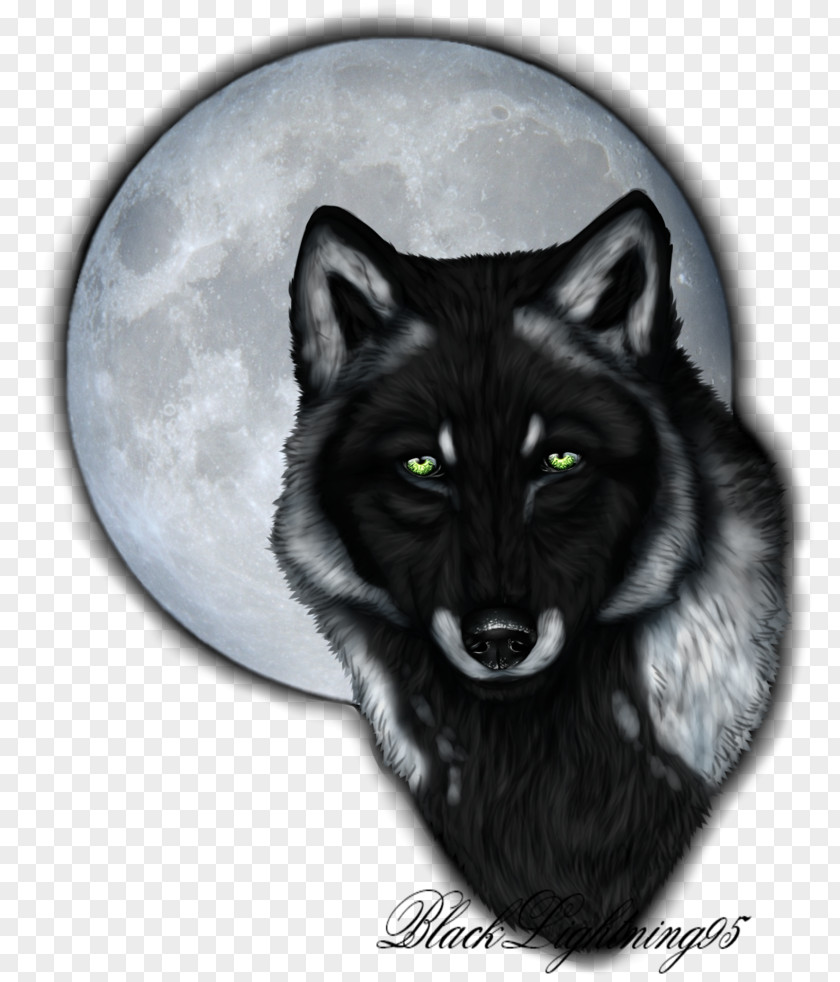 Happy Birthday Black Red Fox Gray Wolf Whiskers Snout Fur PNG