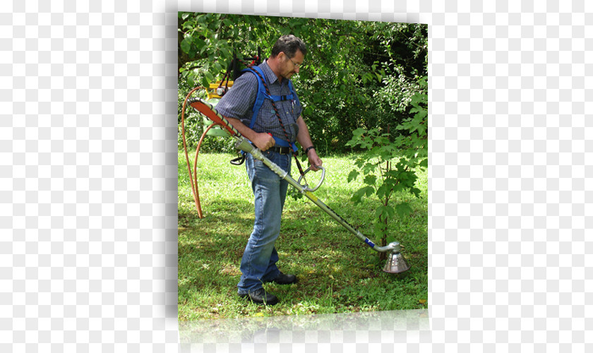 Herbage String Trimmer Edger Lawn Mowers Tree PNG