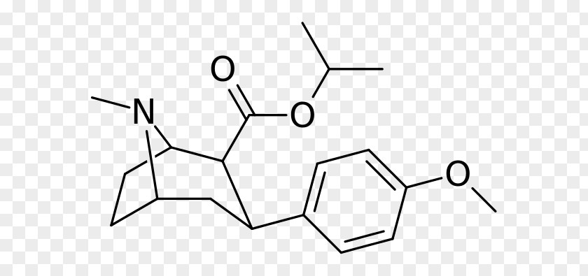 Phenyltropane Tropane Alkaloid Cocaine Dopamine Reuptake Inhibitor PNG