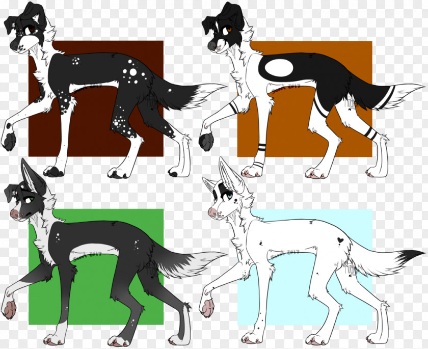 Long Haired Border Collie Dog Breed Horse Cartoon PNG
