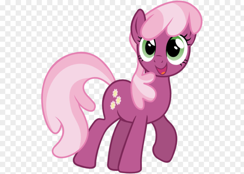 My Little Pony Cheerilee Twilight Sparkle Fluttershy Rarity PNG