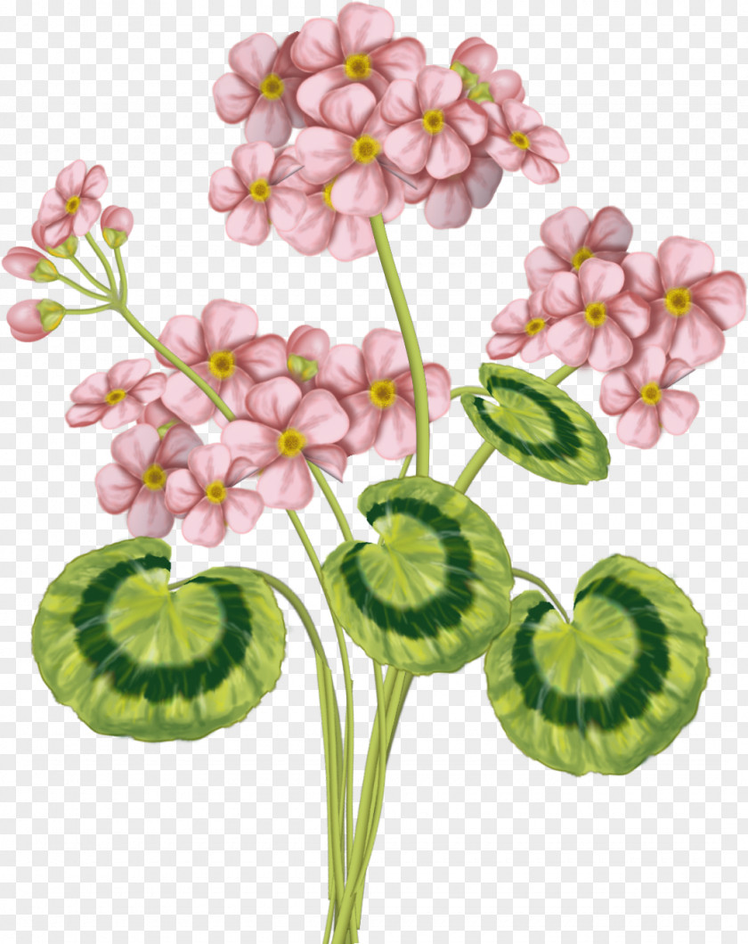 Pink Flower Green Color PNG