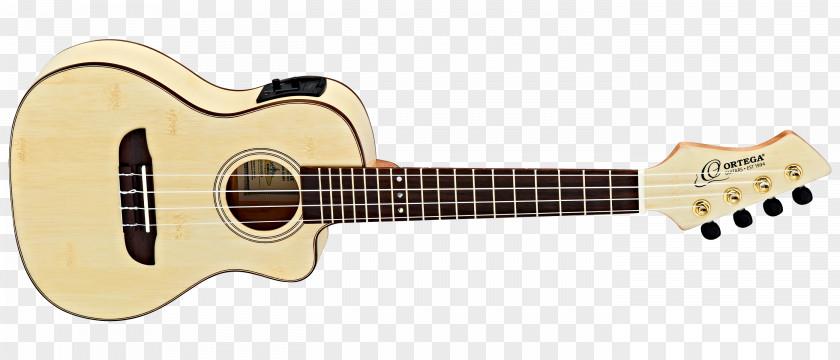 Amancio Ortega Guild Guitar Company Steel-string Acoustic Takamine Guitars Acoustic-electric PNG