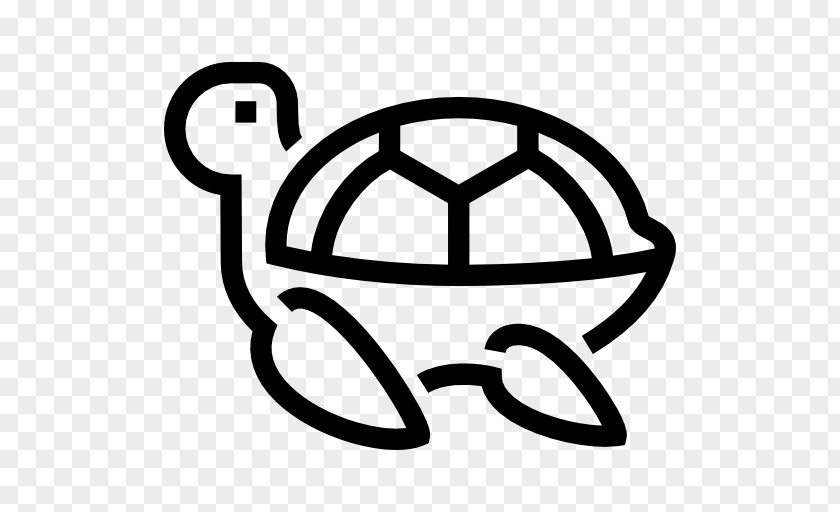 Amphibian Turtle Pet PNG