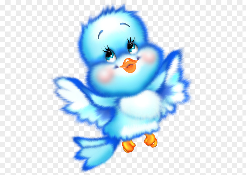 Birds Cartoon Clip Art PNG