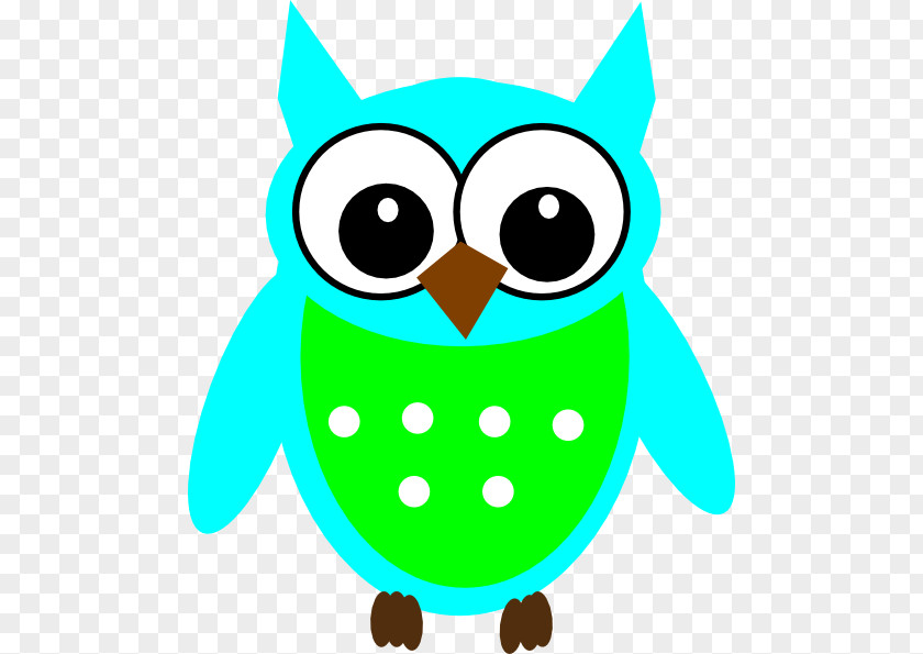 Green Owl Drawing Clip Art PNG