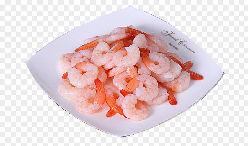 Tasty Shrimp Caridea And Prawn As Food Crab Seafood PNG