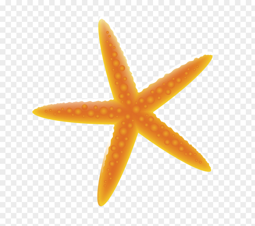 Yellow Starfish Deep Sea Creature Ocean Color PNG