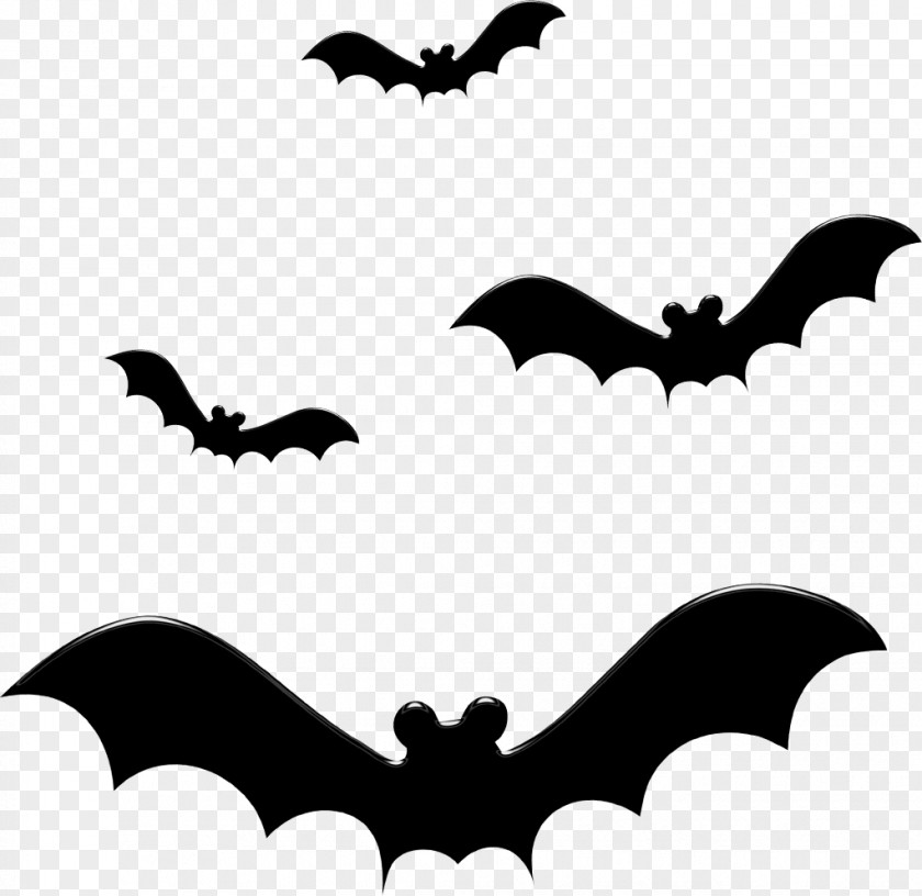 Bat Halloween Silhouette Clip Art PNG