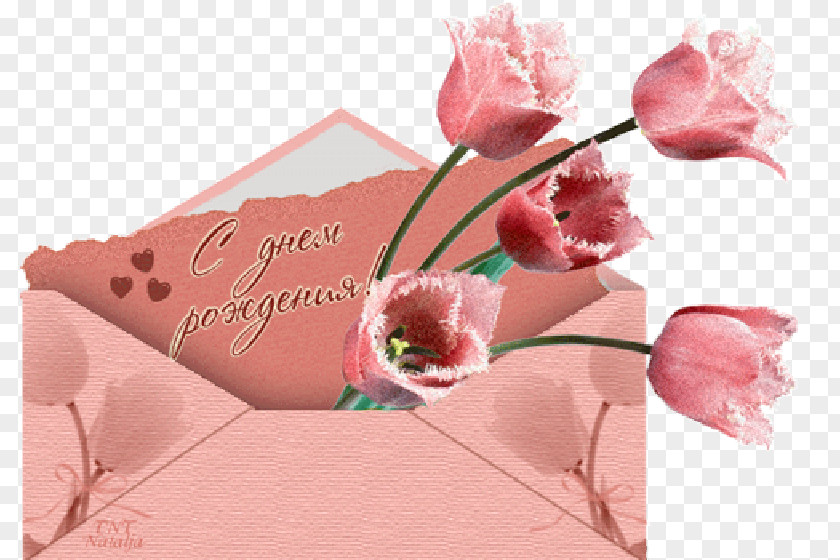 Birthday Holiday Moya Dorogaya Greeting & Note Cards Jubileum PNG