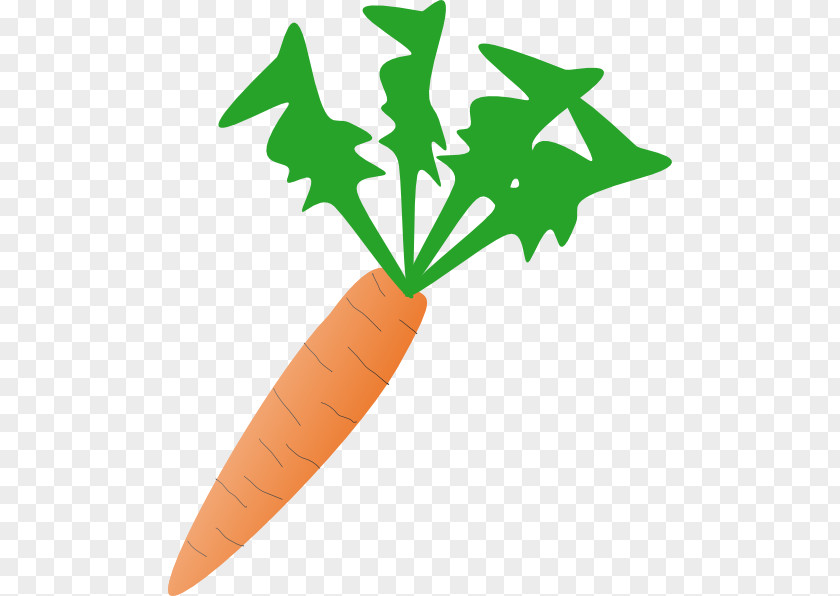 Celery Cliparts Carrot Vegetable Free Content Clip Art PNG