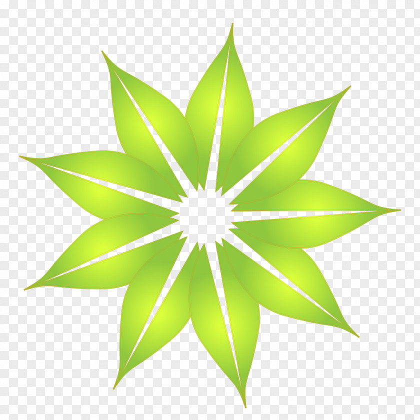 Daylight Flower Image Color Green PNG