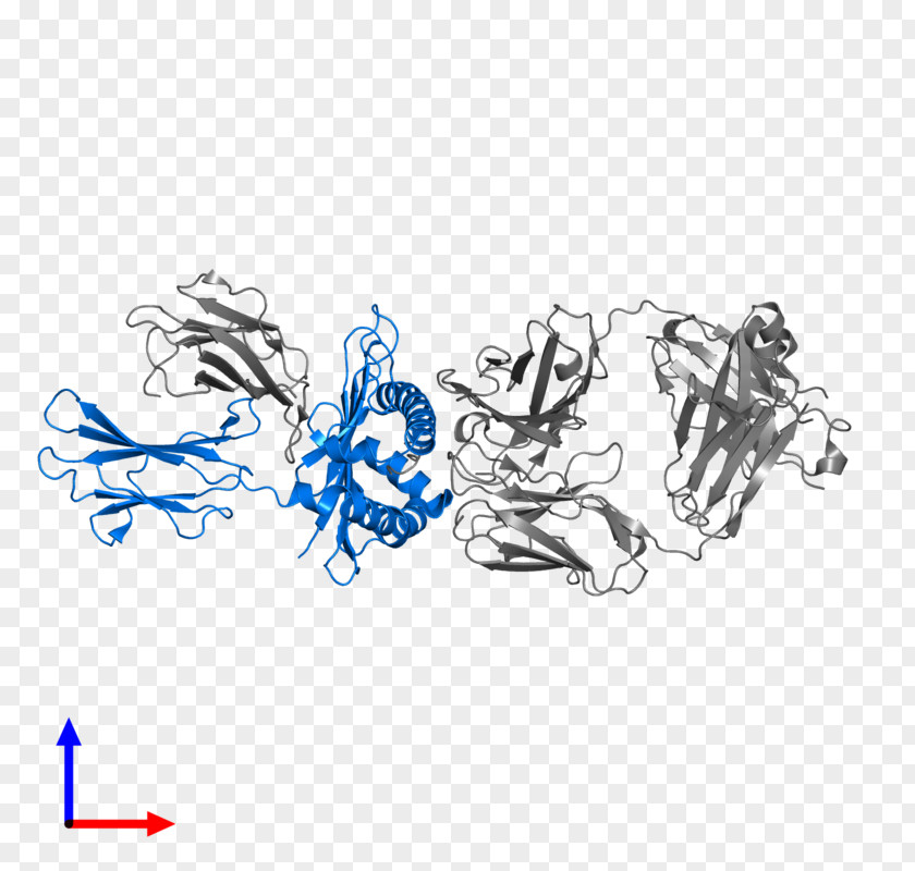 Design Graphic Sketch PNG