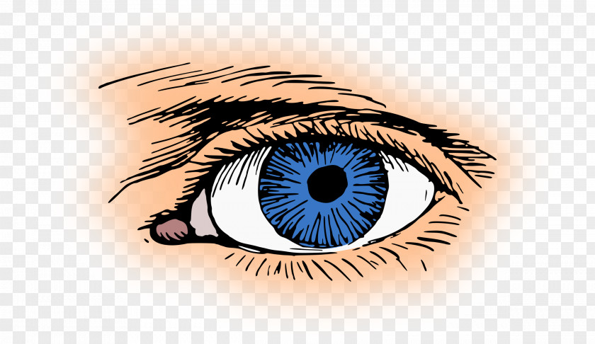 Eyelashes Eye Blue Clip Art PNG