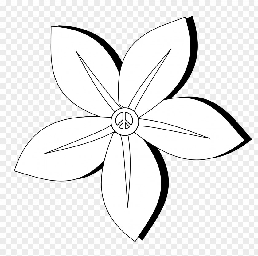 Jasmine Flower Drawing Line Art Monochrome PNG