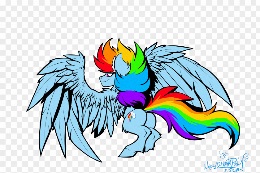 My Little Pony Rainbow Dash Macaw PNG