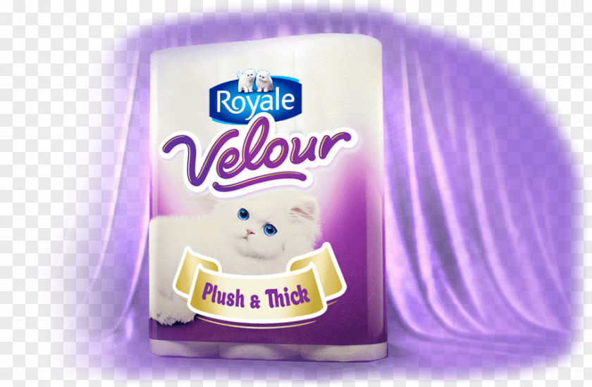 Promo Flyer Toilet Paper Tissue Brand PNG
