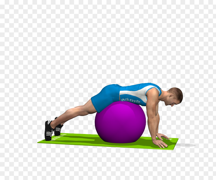 Yoga Ball Pilates Exercise Balls Gluteal Muscles Medicine PNG