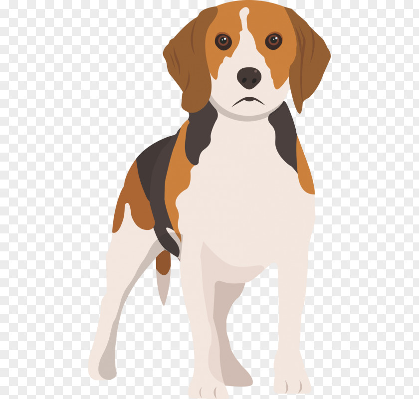 Beagle English Foxhound Harrier American Finnish Hound PNG