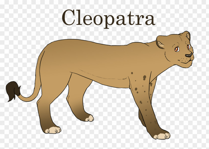 Lion Big Cat Dog Terrestrial Animal PNG
