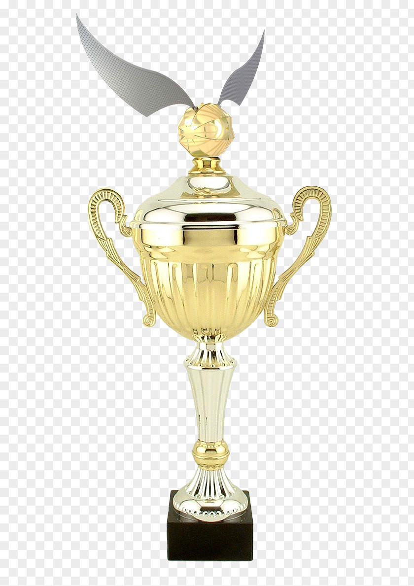 Trophy Cup Metal Award Football PNG