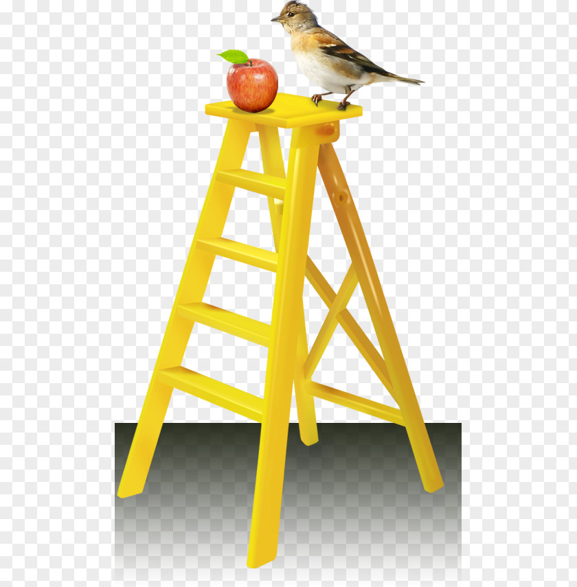 Yellow Ladder Bird Apple Material PNG