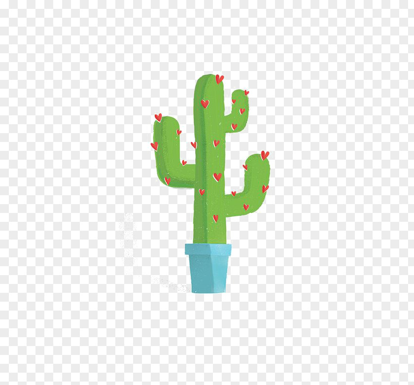 Cactus Cactaceae Drawing Creative Illustration PNG