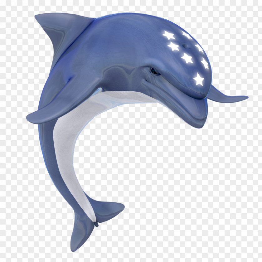 Dolphin Ecco The Common Bottlenose La Plata Tucuxi Rough-toothed PNG